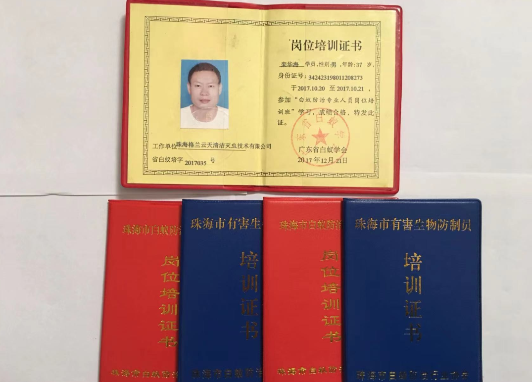 珠海新建房屋白蚁预防技术探讨 珠海灭杀白蚁公司-彩九九(图5)
