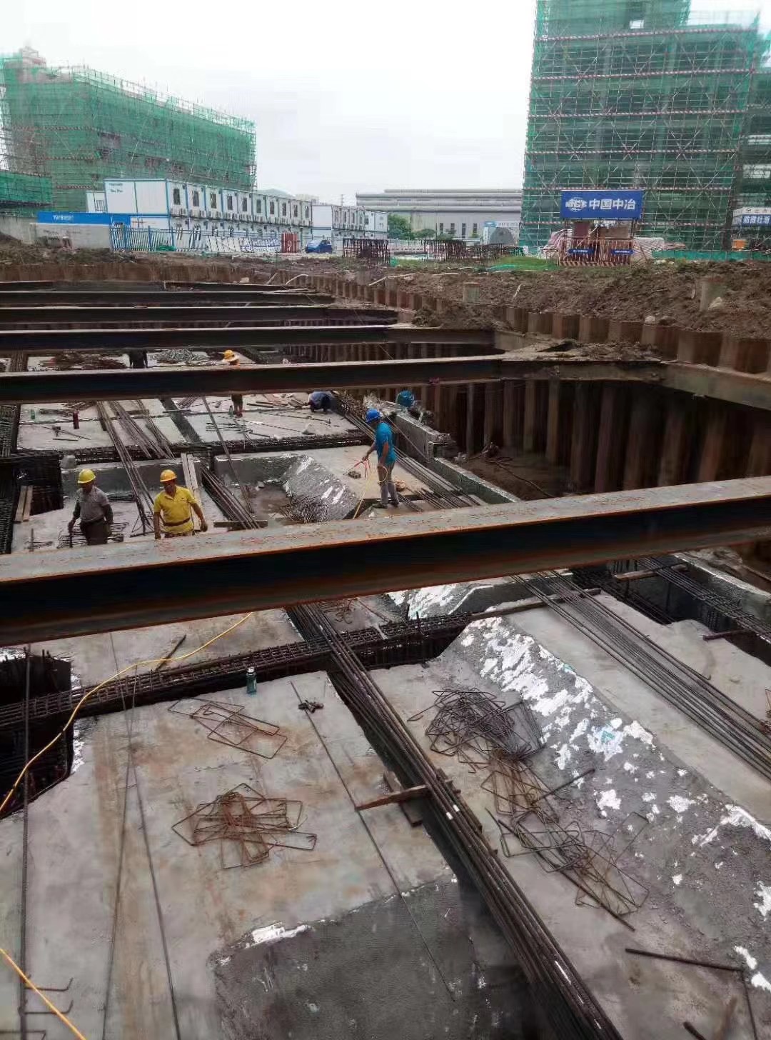 珠海房屋建筑白蚁预防 珠海灭杀白蚁公司(图2)