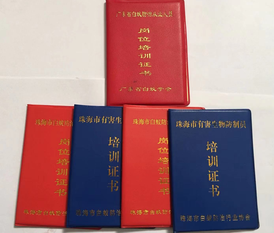 高新区怎样做好白蚁防治技术工程 《彩九九》(图3)