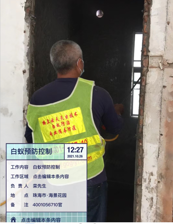防白蚁应该在装修前还是装修后-彩九九(图2)