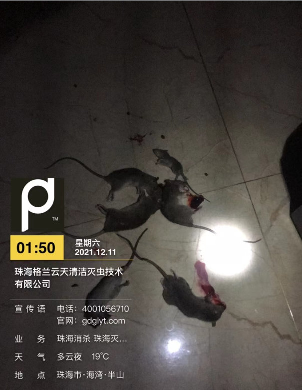 1-220324200Q2502.png