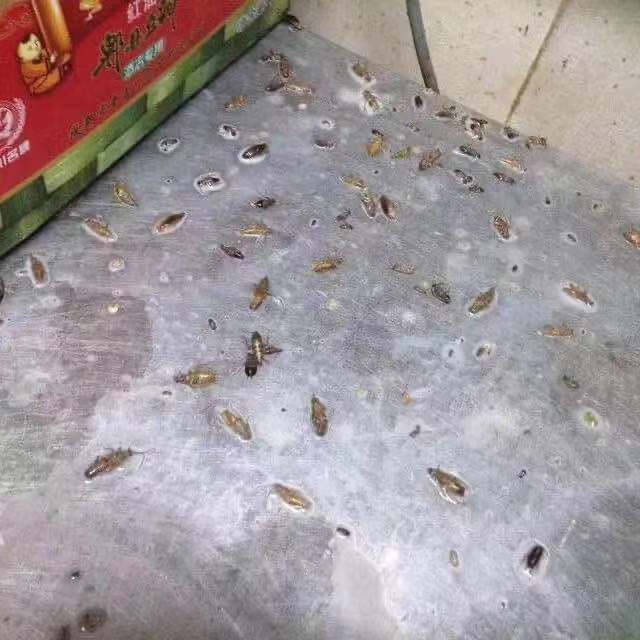 1-220325000554938.jpg