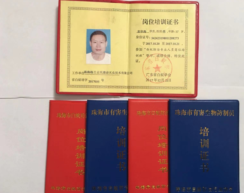 珠海消杀灭鼠公司告诉你预防老鼠小妙招-彩九九(图2)