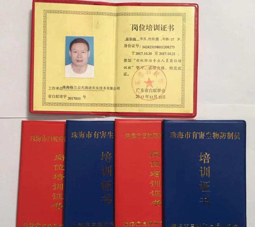 如何选择一家执行标准的白蚁防治公司(图3)
