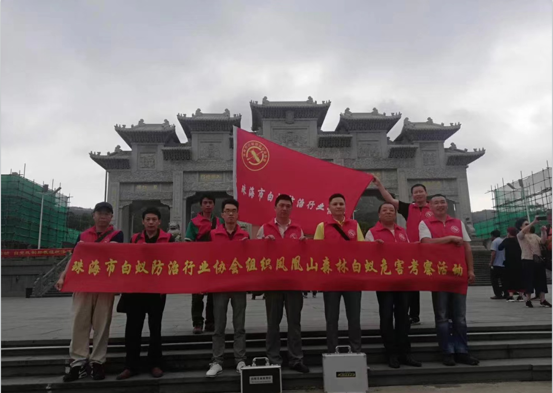 白蚁防治-白蚁预防 灭杀白蚁公司-彩九九(图3)