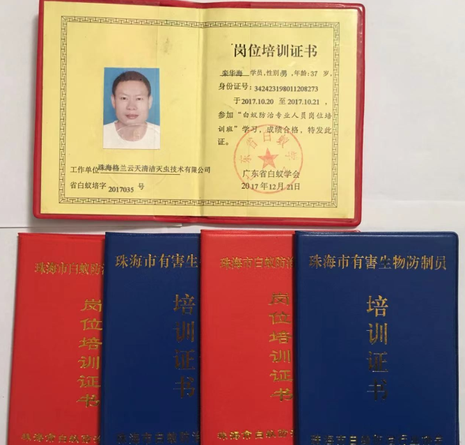 珠海横琴新区白蚁防治|横琴区白蚁防治 横琴消杀公司(图3)
