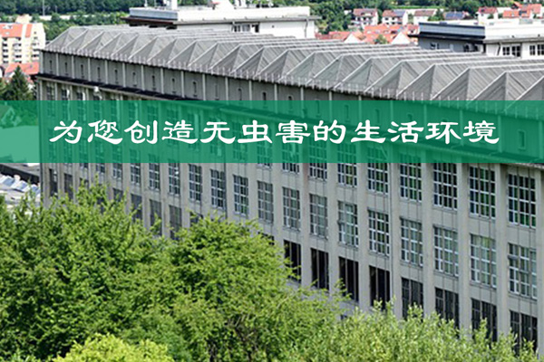 东凤优质除蟑螂公司