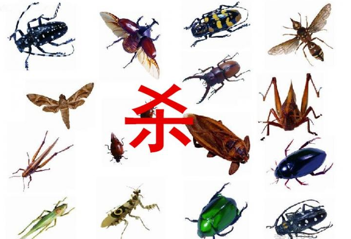 杀虫公司为您介绍各种杀虫方法-彩九九