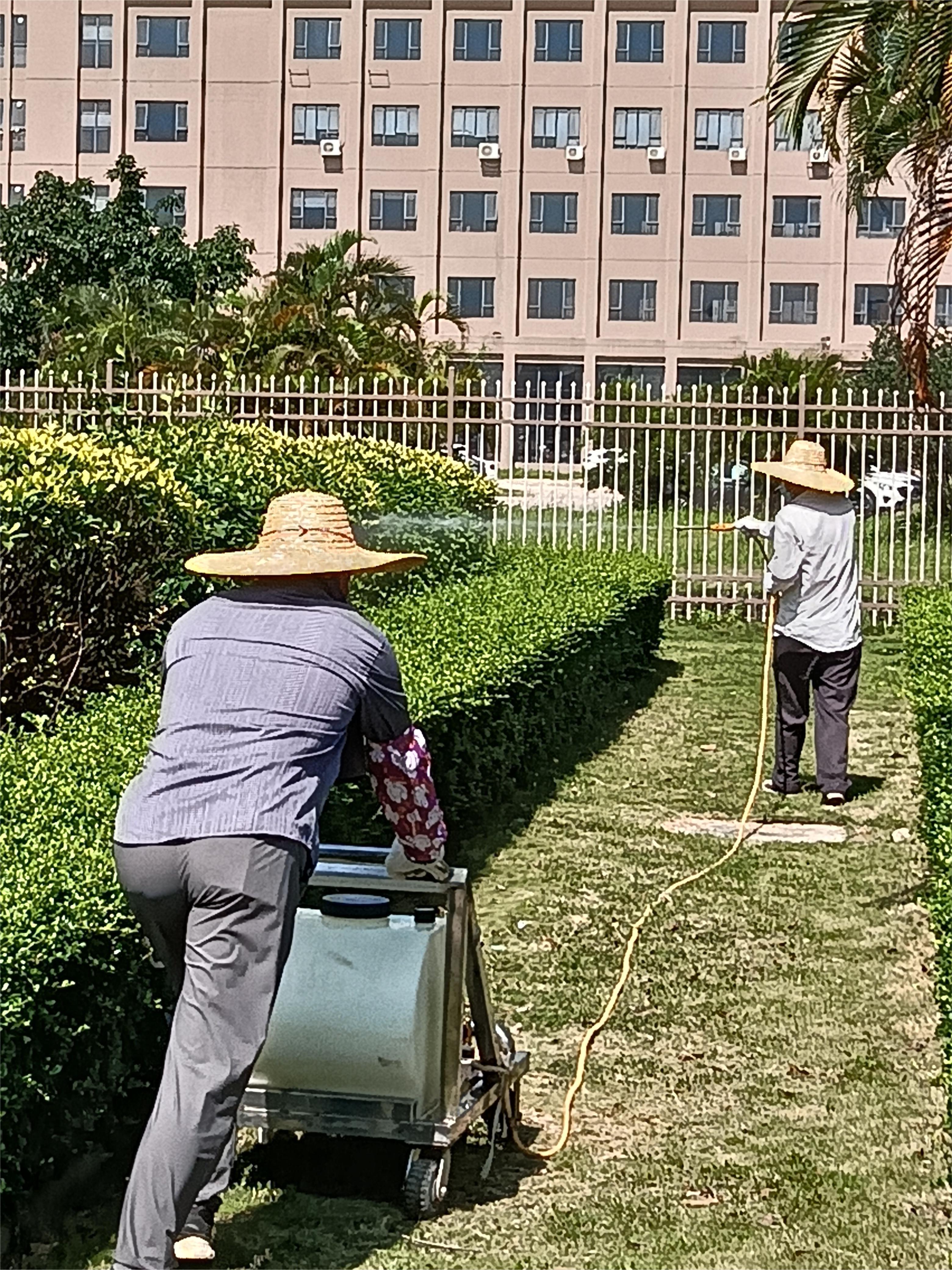 微珠海新建房屋白蚁预防工程-彩九九g