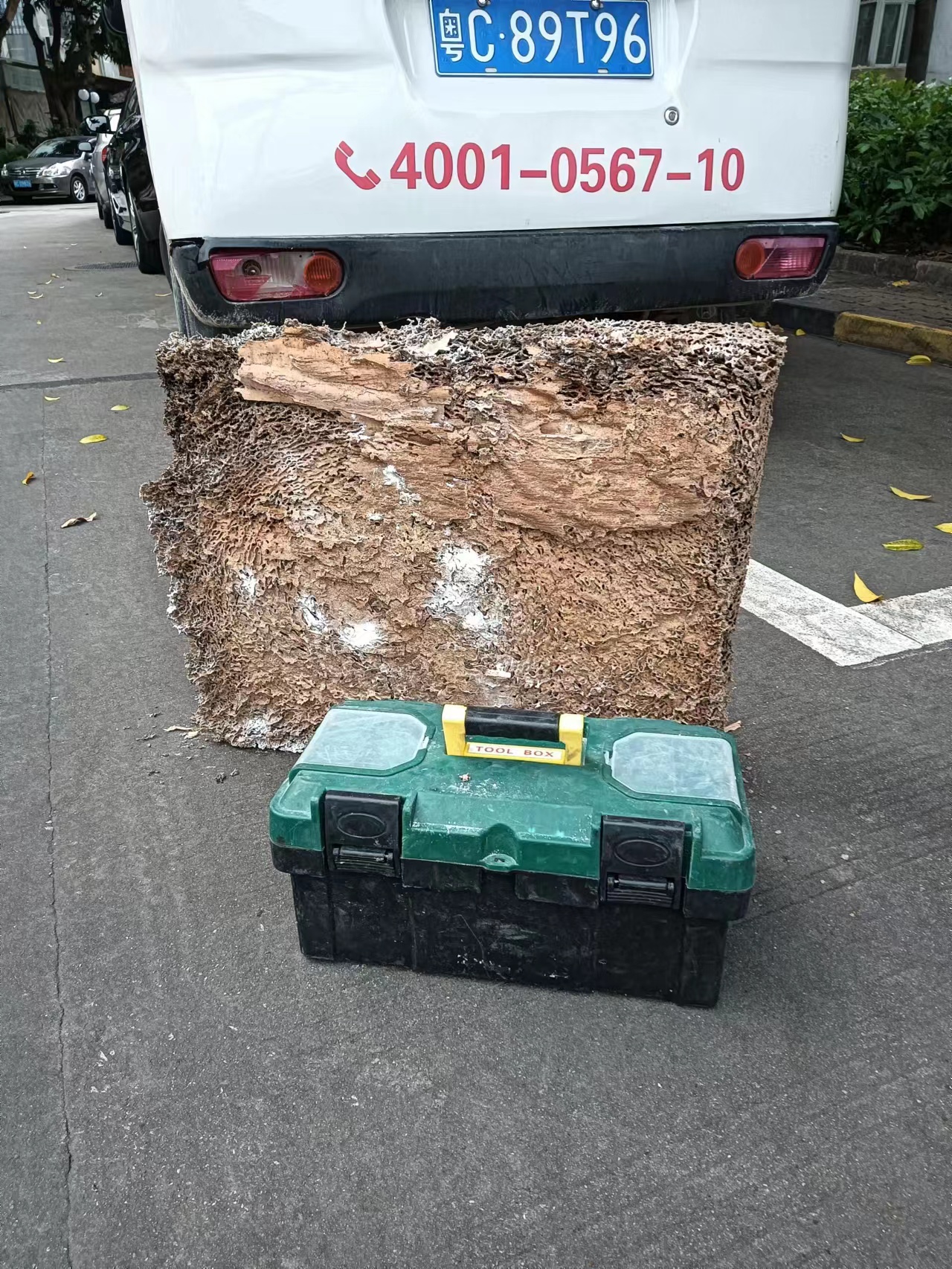 南屏白蚁防治中心 南屏白蚁防治所