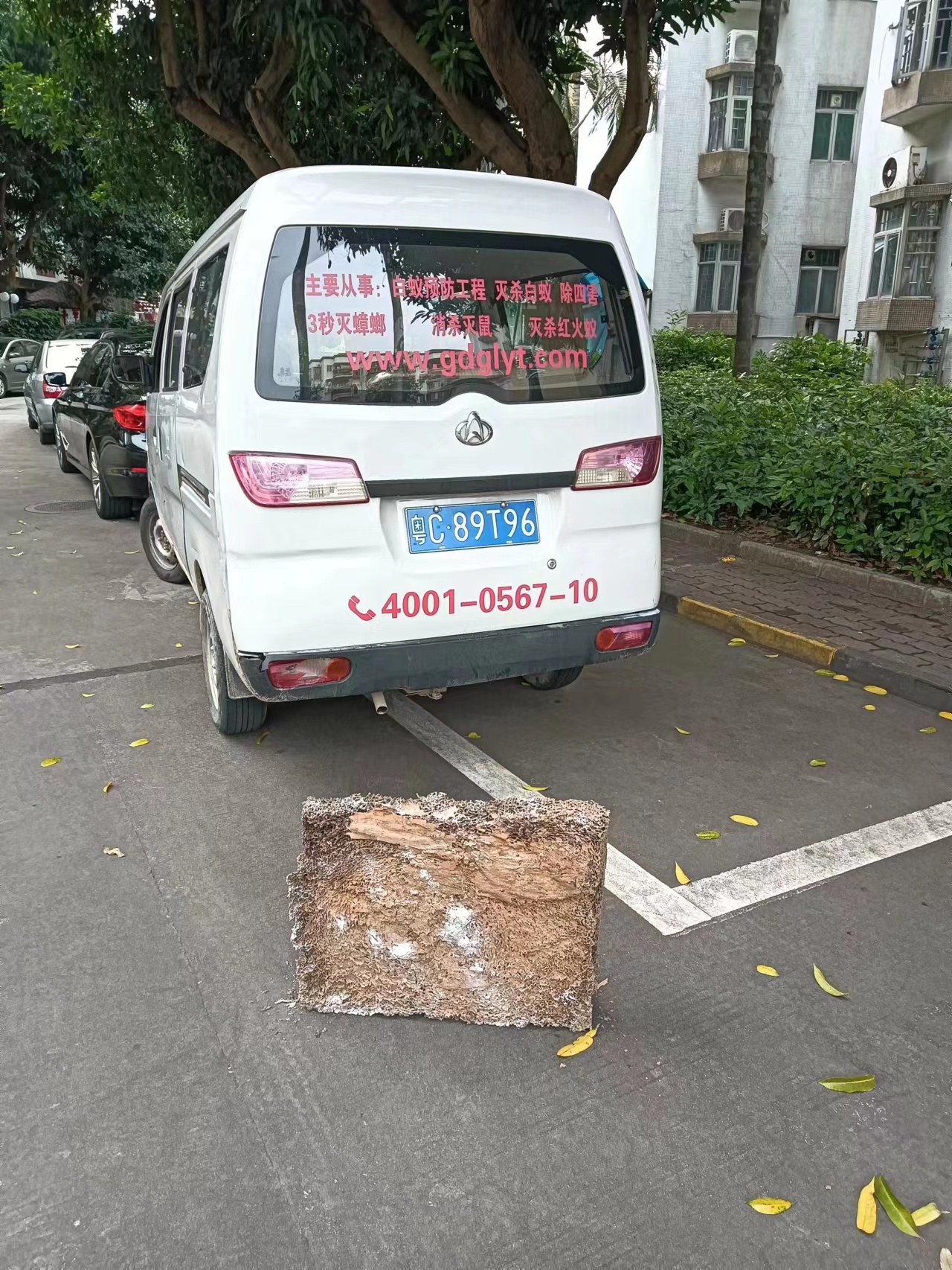 联湾白蚁防治 连湾白蚁预防 连湾杀虫灭鼠-彩九九