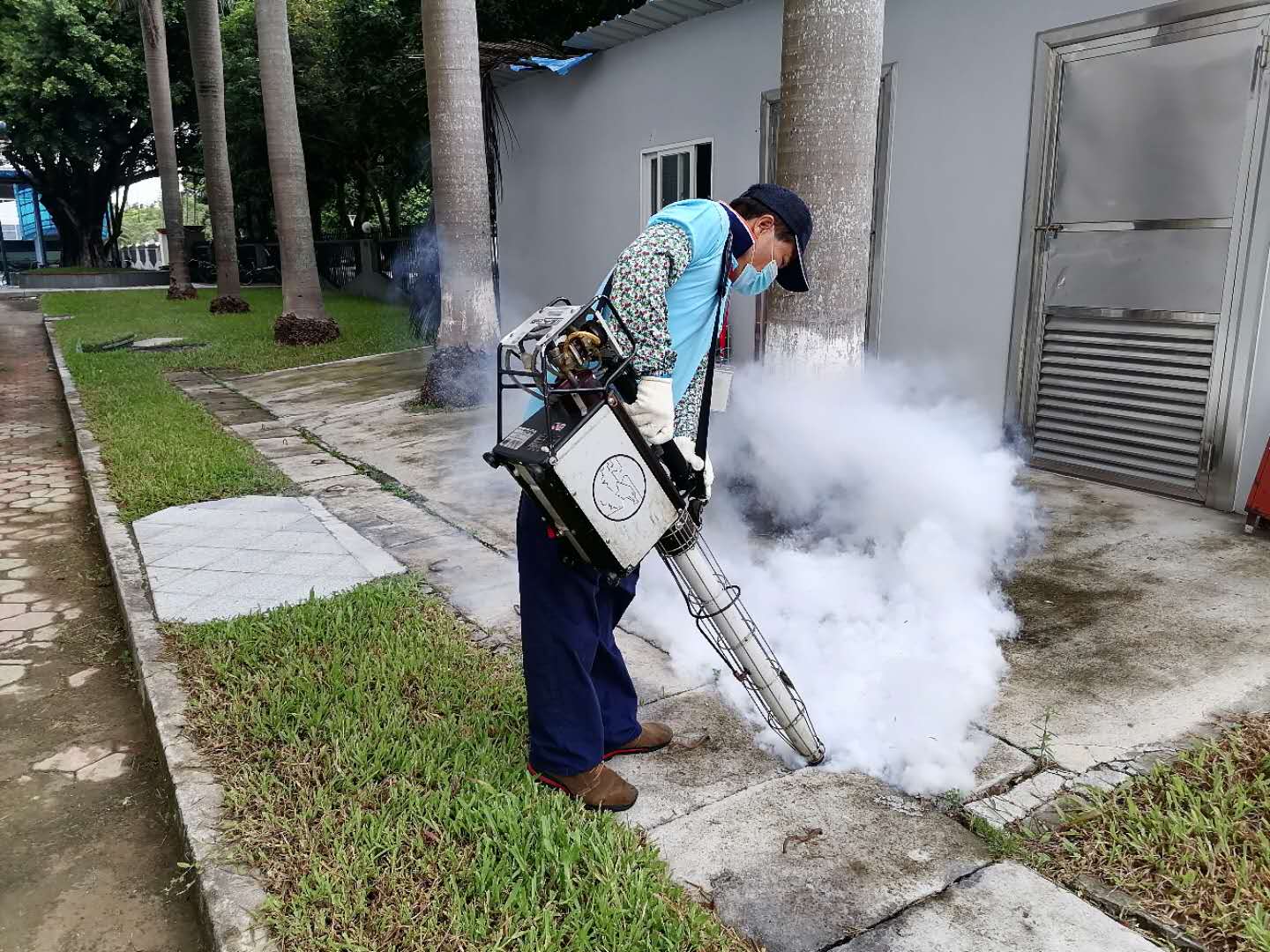 南溪白蚁防治公司价格 南溪白蚁预防 南溪清除白蚁公司