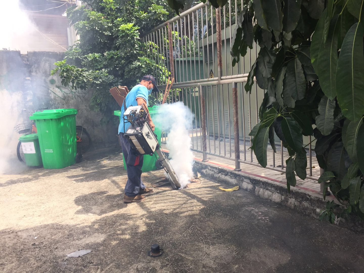 南溪白蚁防治公司价格 南溪白蚁预防 南溪清除白蚁公司