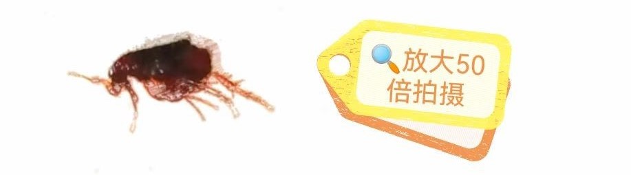 微信图片_20221023133731