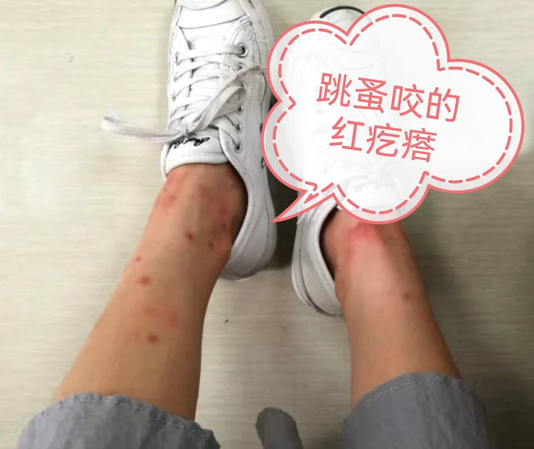 微信图片_20221023140411