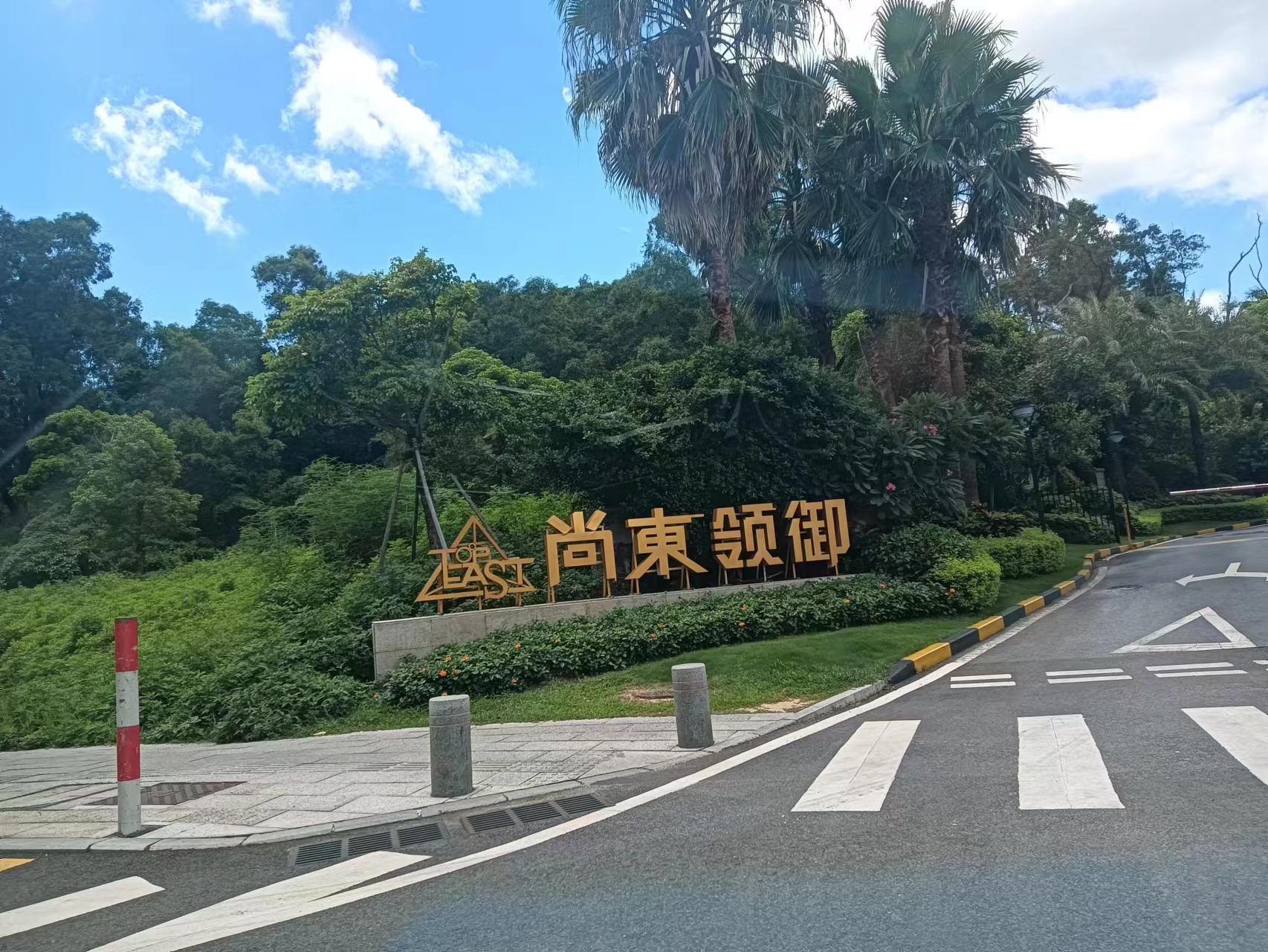 珠海白蚁防治公司