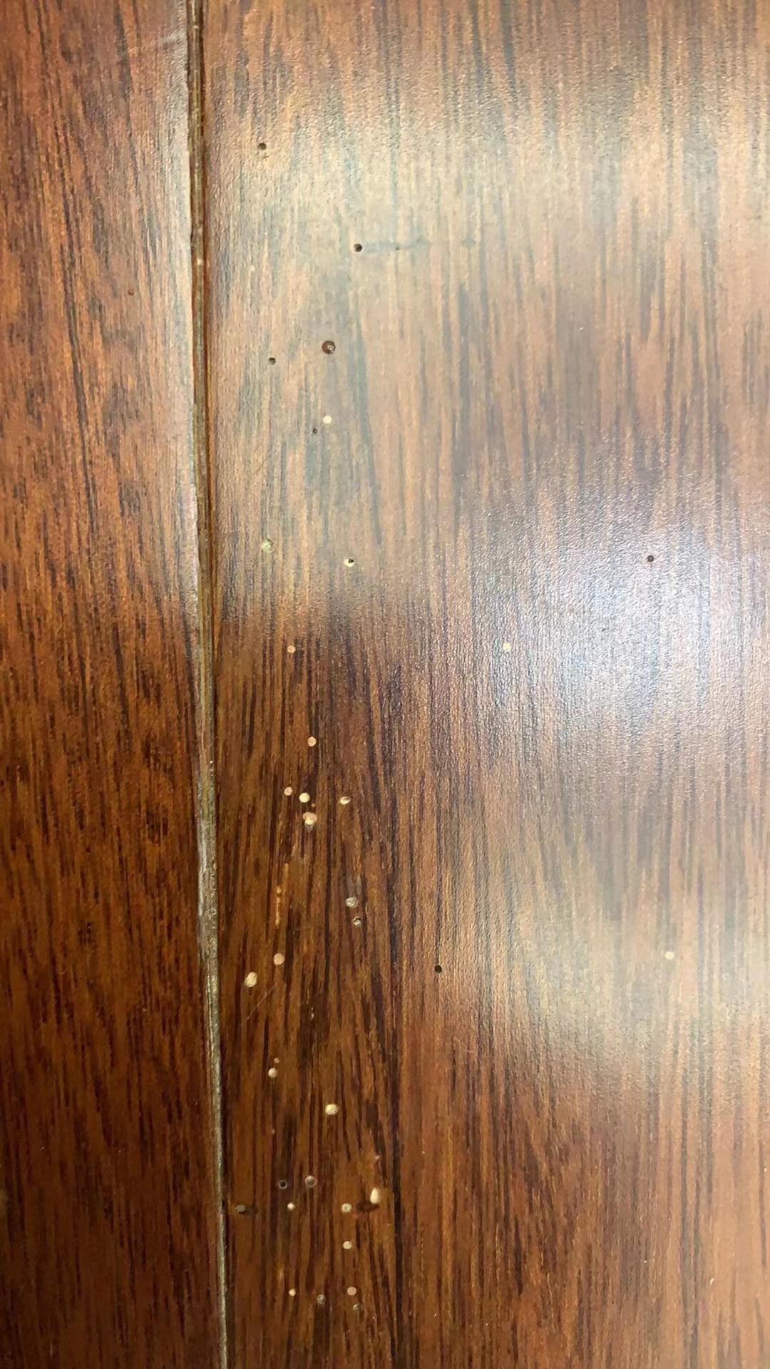 木地板被蛀虫入侵现场