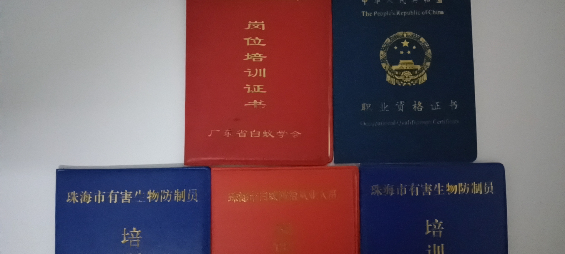 1-220111195R63a.jpg