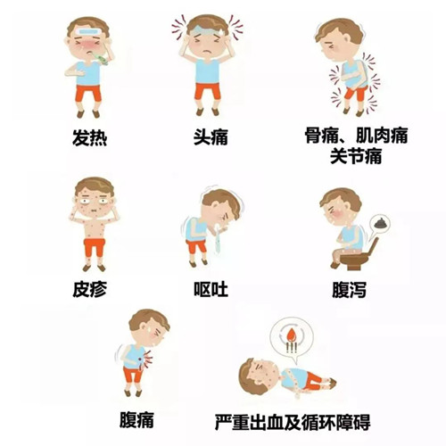 给珠海市民首次接触-- 登革热防控基本知识--彩九九