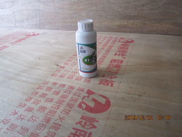 kTV灭杀蟑螂｜珠海KTV专业灭杀蟑螂(图13)