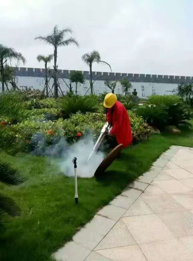 1583165883423776.jpg