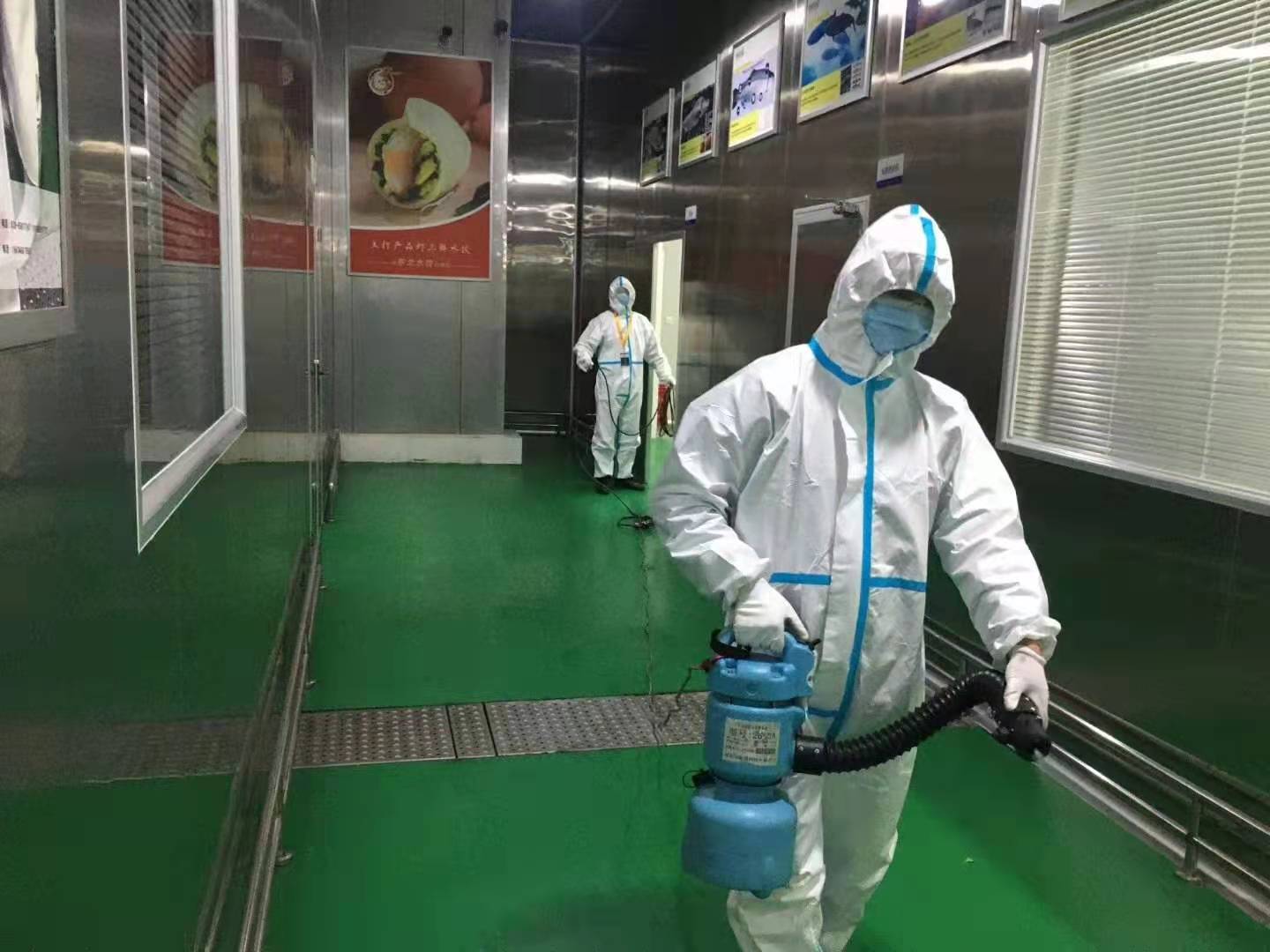 均安怎么消灭老鼠哪家专业