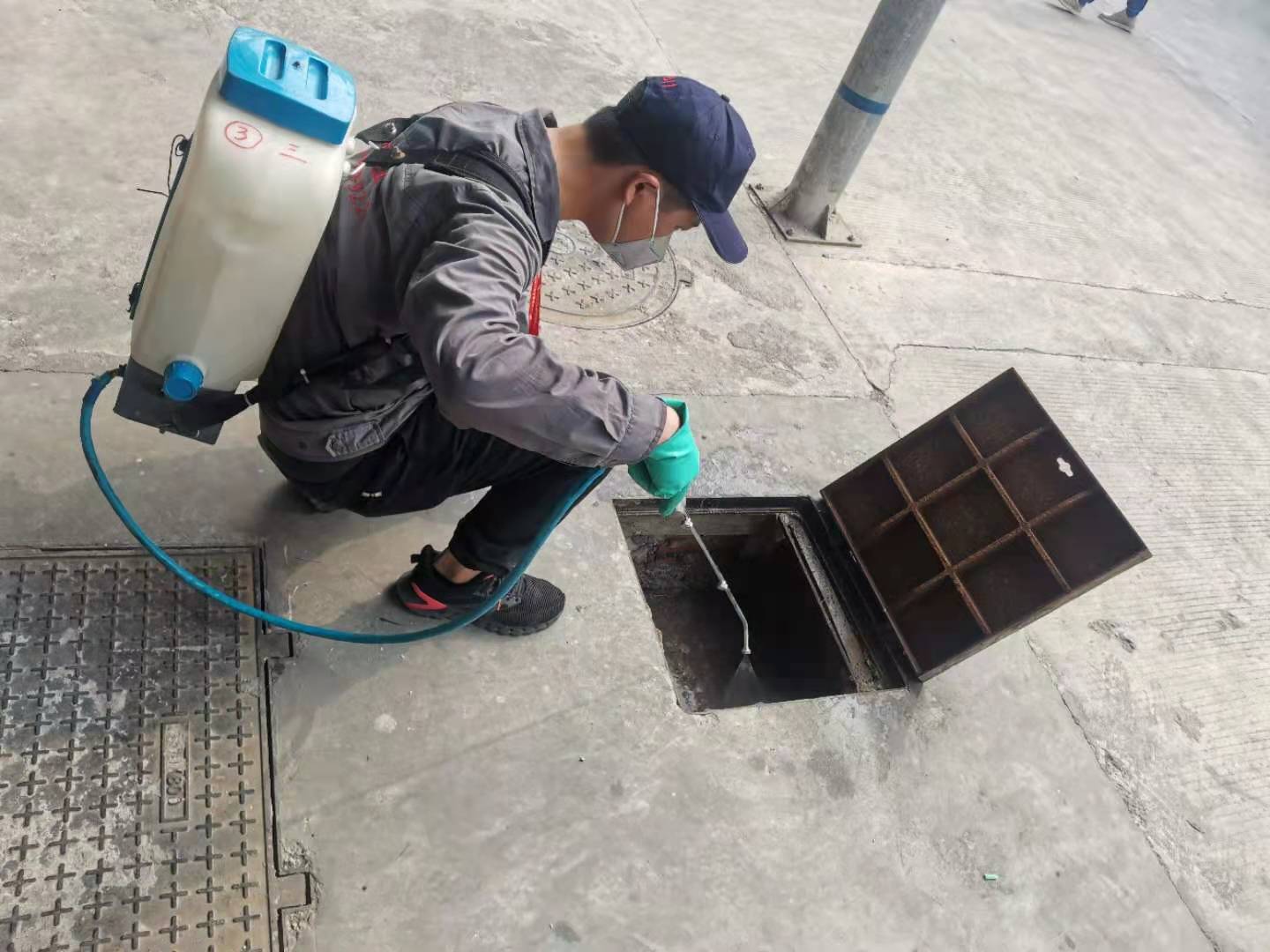 均安怎么消灭老鼠哪家专业
