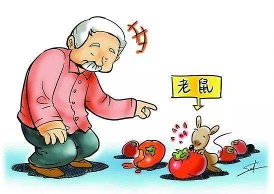 四害消杀标准 (图1)