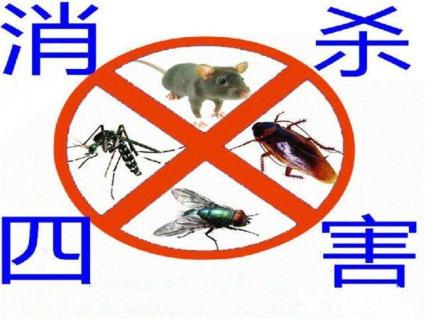 专业除四害
