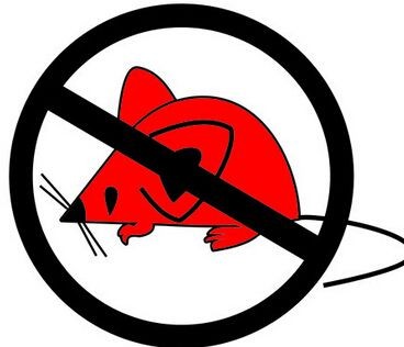 六安抓老鼠环保无异味，一小时快速----上门处理