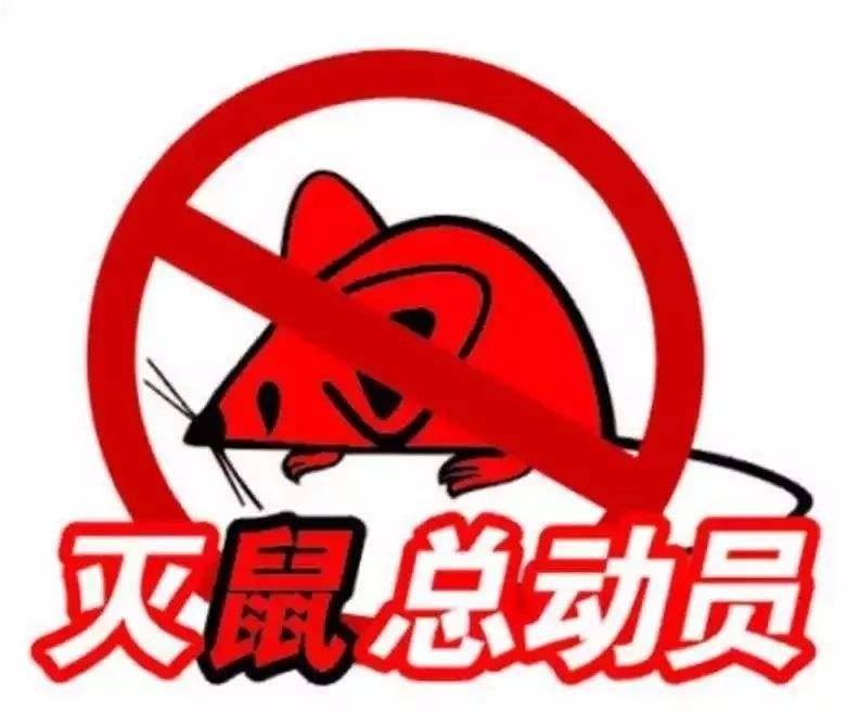 枣庄灭鼠除虫灭鼠灭蟑螂四害消杀蚂蚁灭白蚁